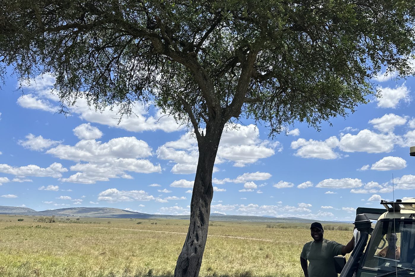 Safari vehicle resting under an acacia tree